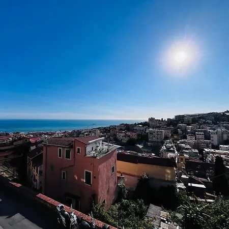 Panizzi 26 * San Remo